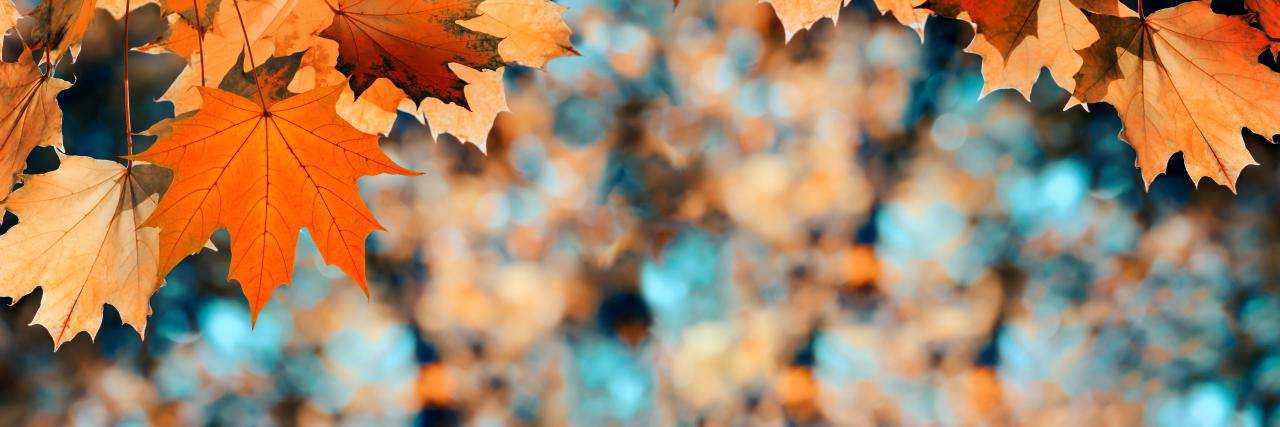 Konkurs dla Młodych Dokumentalistów BUSZ PO POLSKU