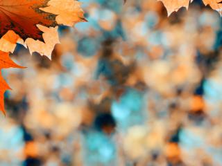 Konkurs dla Młodych Dokumentalistów BUSZ PO POLSKU